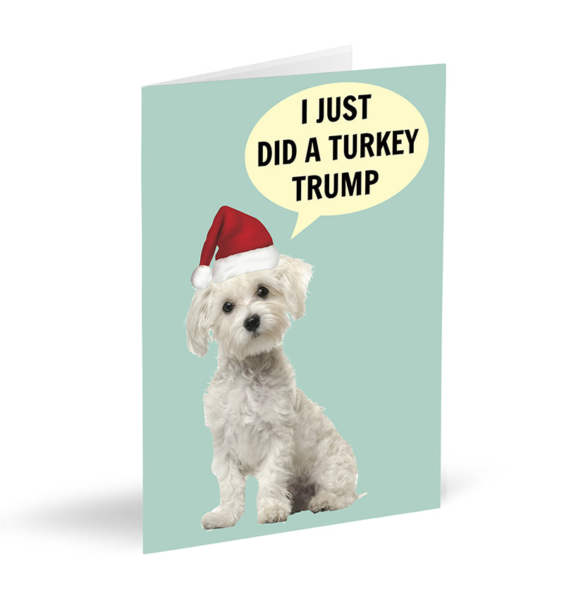 I Just Did A Turkey Trump Card